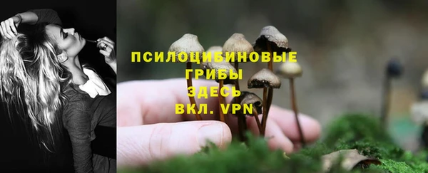 apvp Балабаново