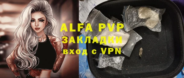 крисы Балахна